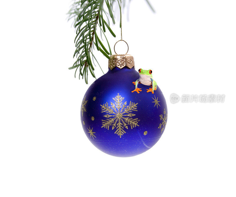 青蛙(agalychnis callidryas)坐在圣诞球上